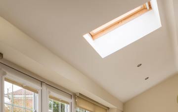 Raddon conservatory roof insulation companies