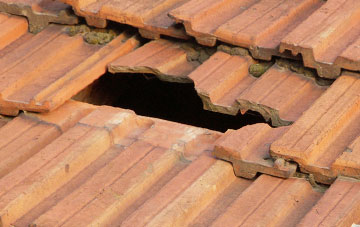 roof repair Raddon, Devon